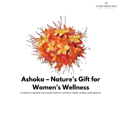 Ashoka – Nature’s Gift for Women’s Wellness