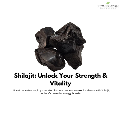 Shilajit: The Ancient Remedy for Men's Sexual Vitality & Health