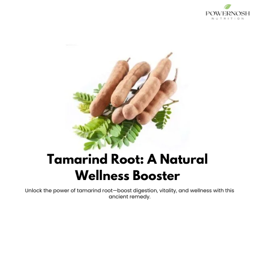 The Ultimate Guide to Tamarind Root: Benefits, Uses & Wellness Insights