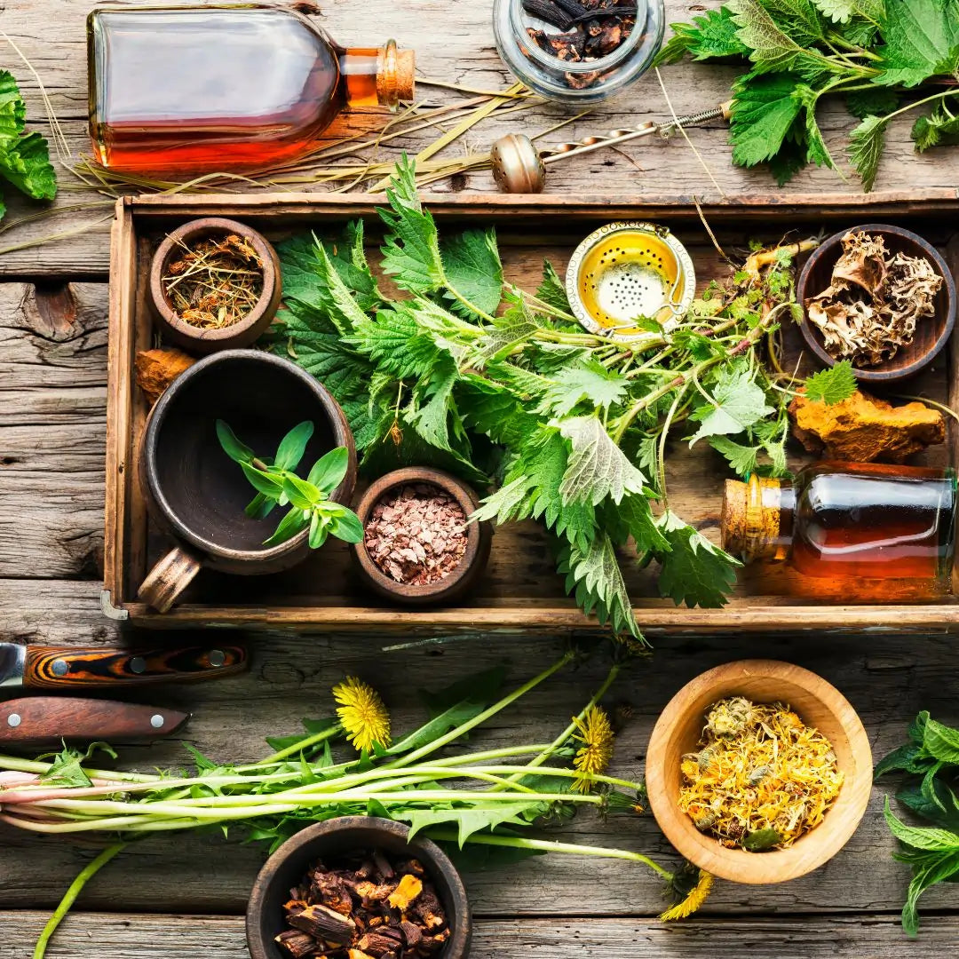 Key Ingredients in Men's Wellness Supplements