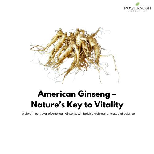 Harnessing the Power of American Ginseng for Holistic Wellness