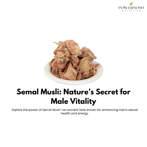 Semal Musli: A Natural Boost for Men's Sexual Wellness