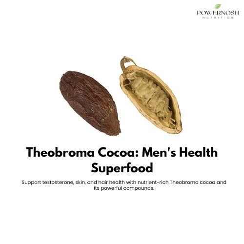 Theobroma Cocoa: Enhancing Men's Wellness, Skin, and Hair Naturally