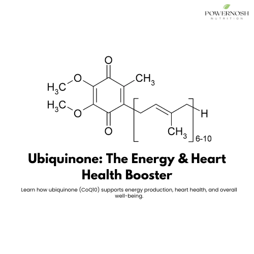 Ubiquinone (CoQ10): The Key to Energy, Heart Health, and Longevity