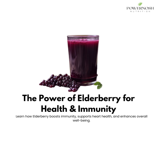 Elderberry: A Nutrient-Packed Superfruit for Health & Wellness