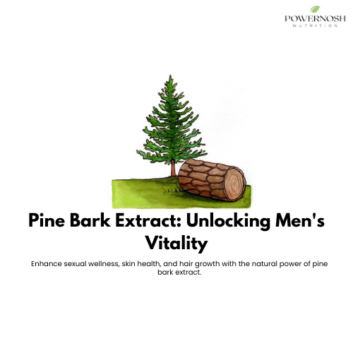 Pine Bark Extract: Boost Men's Sexual Wellness, Skin & Hair Naturally
