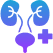 Cognitive Function